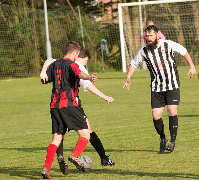 顯示他現階 顯示他現階