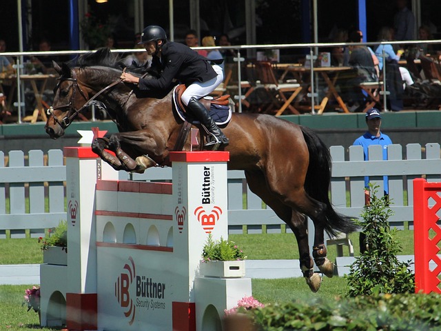 大陆游客赴 大陆游客赴