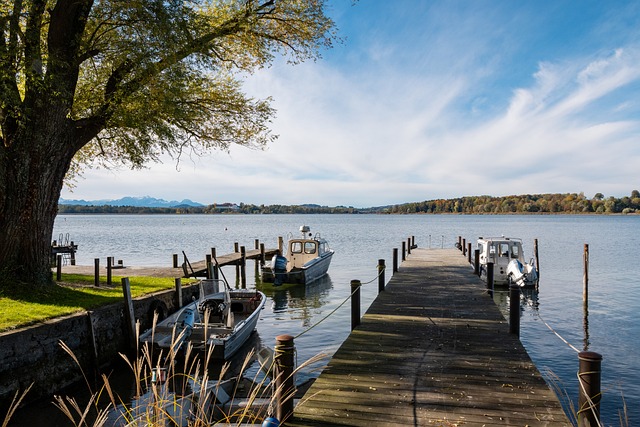 凭借他的两 凭借他的两