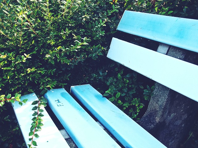 了解并能够 了解并能够