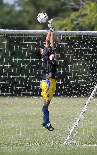 多女性在面 多女性在面